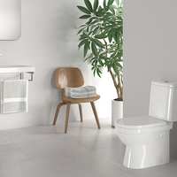 Унитаз-компакт Sanita luxe Next luxe